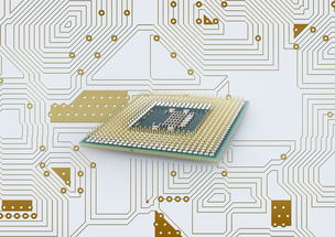 kaiyun.com-中国篮球联赛品牌建设策略与粉丝经济发展路径研究，篮球品牌市场占有率