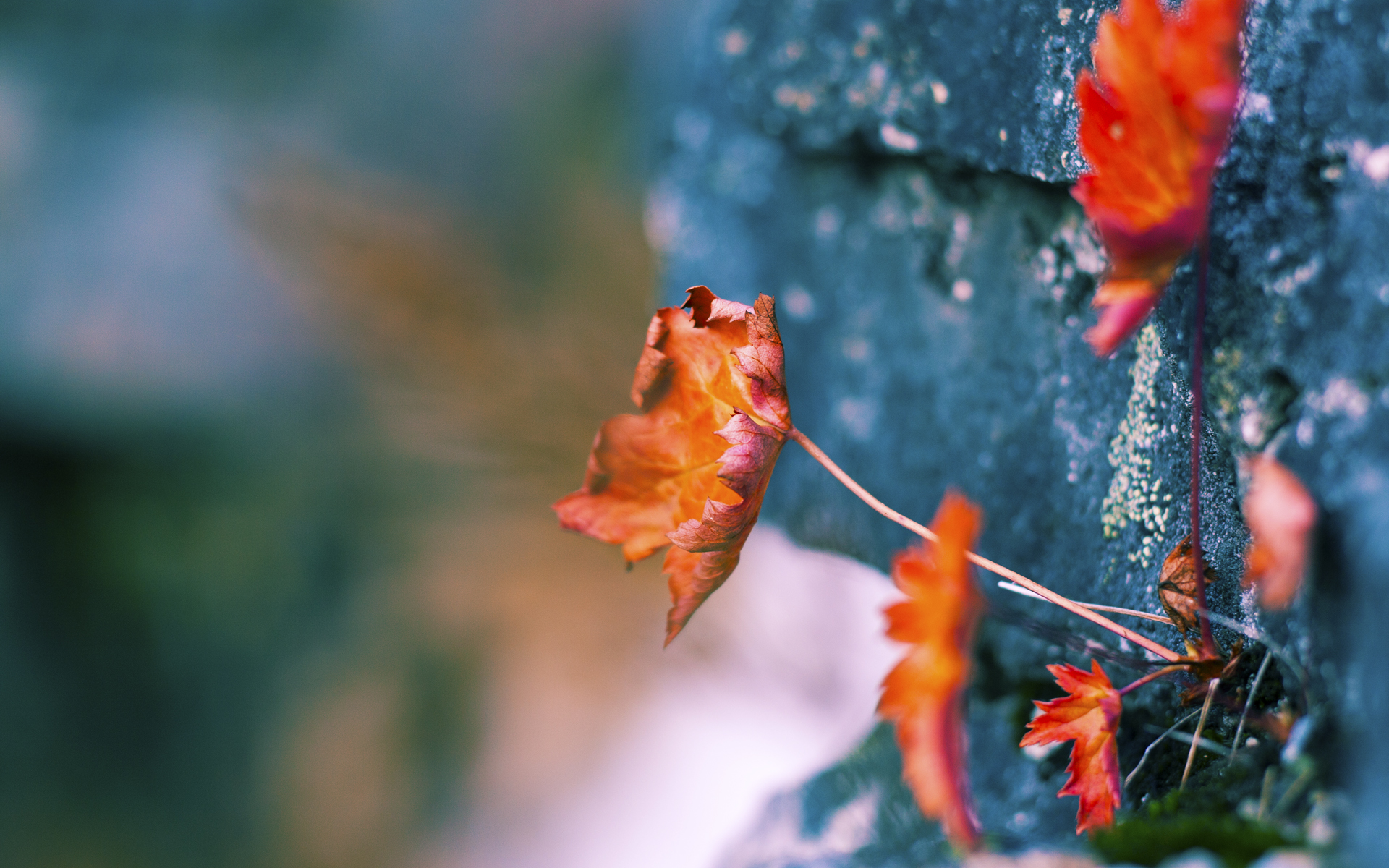 西甲球队基于视觉轨迹分析提高短传渗透效率,西甲足球视频