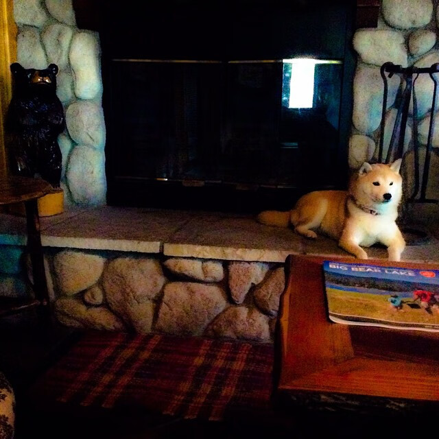 高校运动心理咨询体系完善研究,高校运动心理咨询体系完善研究方案