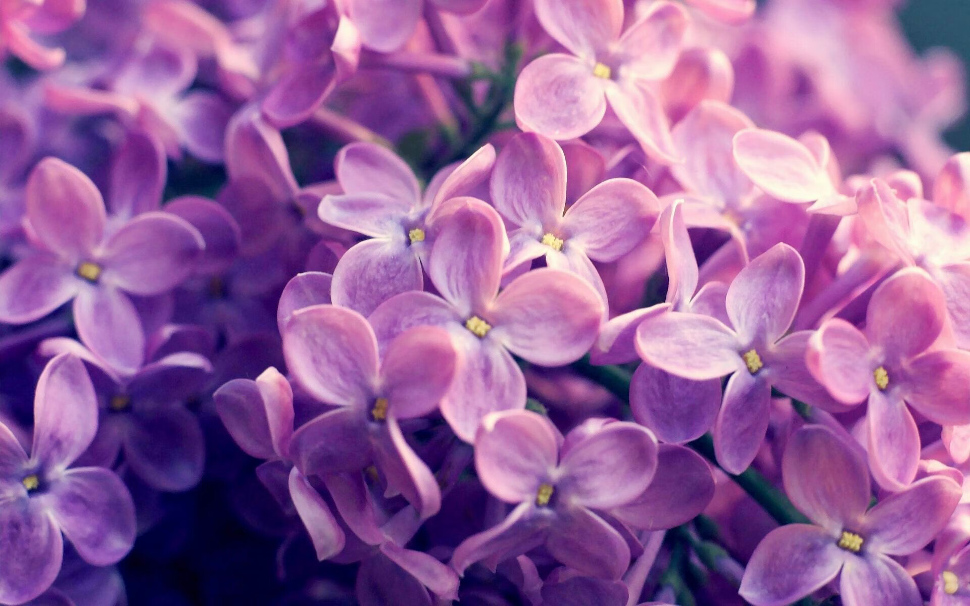 kaiyun体育app-中国男篮实战模拟训练提升应对强敌能力，中国男篮训练视频