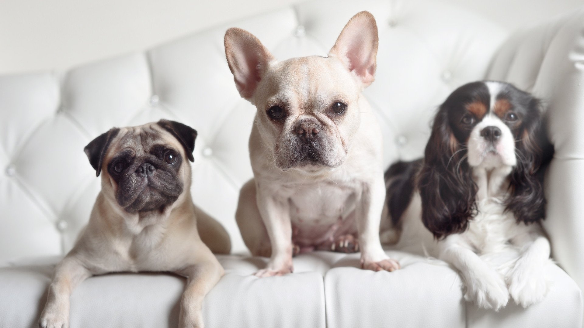 中国男篮遭遇连败 球迷呼吁改变战术体系，中国男篮遗憾