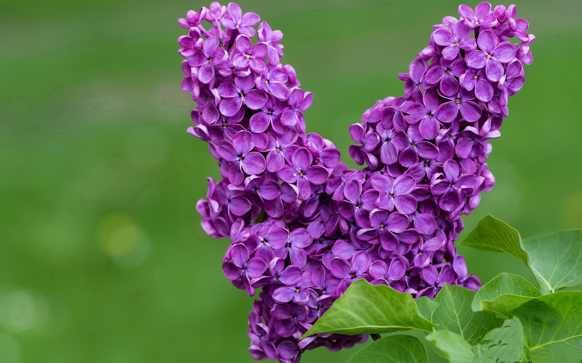 kaiyun开云·官方网站-决赛红牌事件引发广泛争议，红牌对比赛的影响