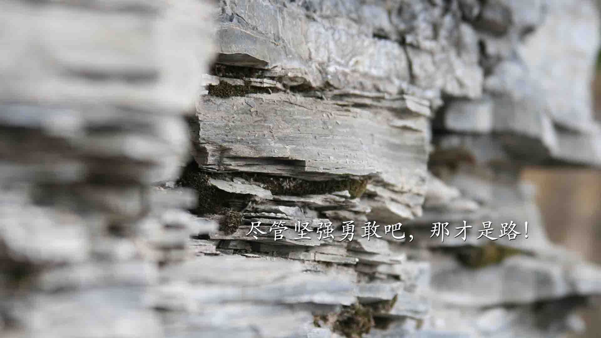 未来挑战：Chinese Taipei团队如何迎接更大国际赛事