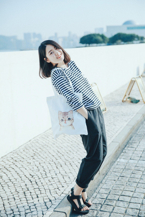 浙江雄狮全明星阵容成就辉煌赛季表现,浙江雄狮篮球队