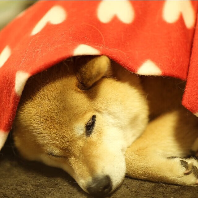 职业联赛人才外流背后反映管理缺陷，中国职业联赛存在的问题及其解决方法