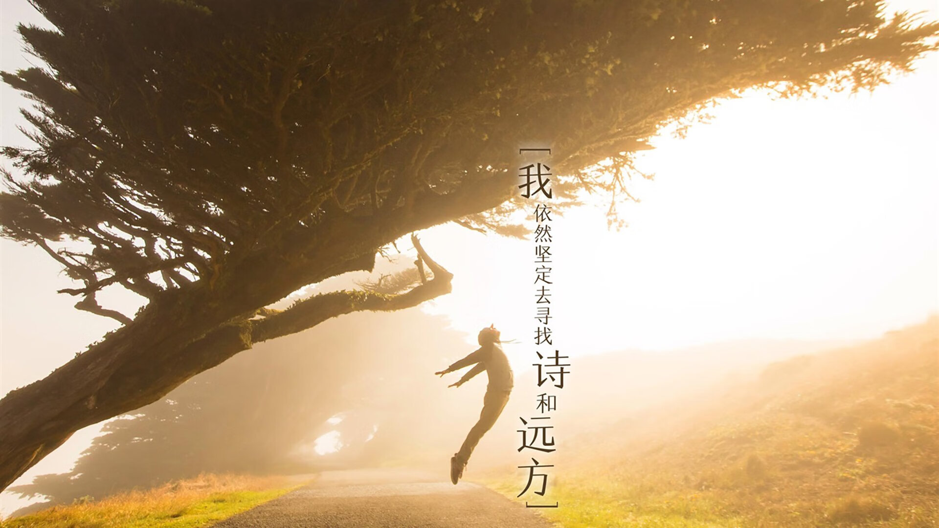 自动化乒乓球训练系统助力技术突破，乒乓球智能