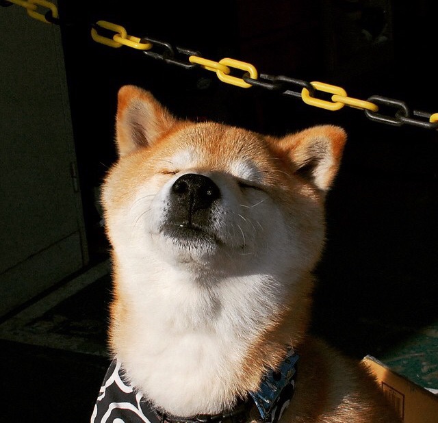 青年运动员媒体训练内容更注重形象管理，从媒介分析运动员体测事件