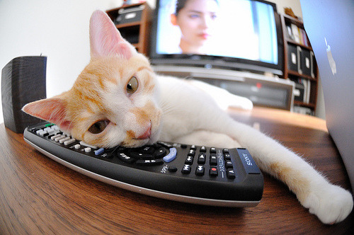 世界杯场场精彩：扣人心弦的逆转与绝杀，世界杯w