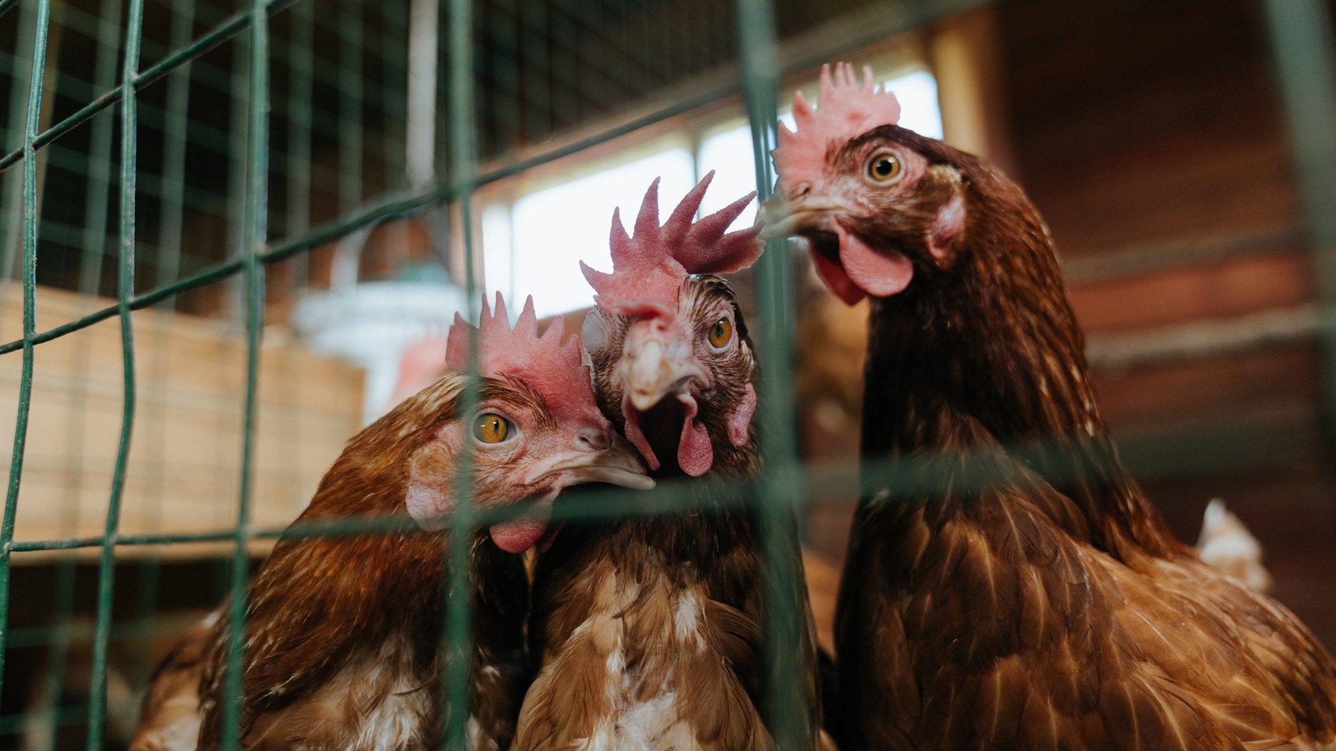 kaiyun体育综合-伤病管理体系优化减少球员长期伤缺影响整体竞技状态，伤病参与度