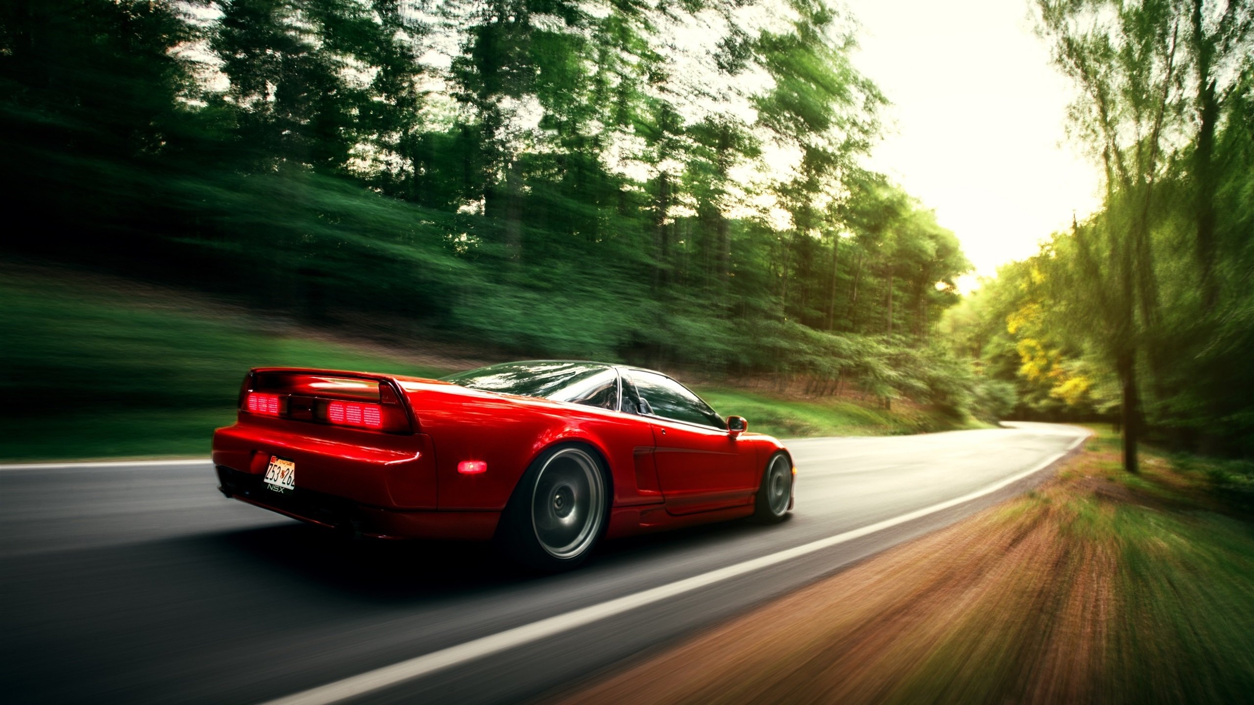 澳洲队泳池内外双重突破，未来可期，澳洲泳坛少女惊艳