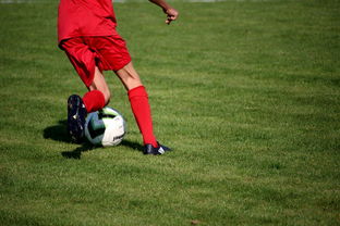 开云kaiyun-中国足球职业联赛完善俱乐部财务与运营体系，足球职业俱乐部运营方案